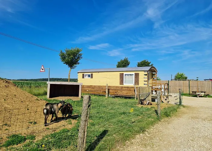 Roulotte Boheme Confortable A La Ferme Pedagogique Pres De Nancy - Fr-1-584-365